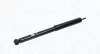 Фото Амортизатор задн Лів/Прав TOYOTA RAV 4 I, RAV 4 II 1.8-2.4 06.94-11.05 Magneti Marelli (354959070000) зображення 1