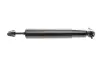 Фото Амортизатор передн Лів/Прав JEEP GRAND CHEROKEE II 2.7D-4.7 04.99-09.05 Magneti Marelli (356901070000) зображення 2