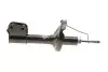 Фото Амортизатор передн Лів/Прав NISSAN KUBISTAR RENAULT KANGOO, KANGOO EXPRESS 1.2-Electric 08.97 Magneti Marelli (357185070000) зображення 4
