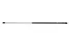 Фото Амортизатор капоту Audi A4 00-09 Magneti Marelli (430719038100) зображення 1