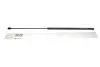 Фото Амортизатор капоту Audi A4 00-09 Magneti Marelli (430719038100) зображення 4