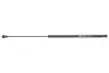 Фото Амортизатор кришки багажника Renault Laguna II 1.6-3.0/1.9dCi 01- (GS0547) Magneti Marelli (430719054700) зображення 1