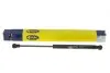 Амортизатор крышки багажника Magneti Marelli (430719063300) изображение 5