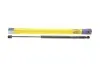 Фото Амортизатор кришки багажника Renault Scenic II 1.4-2.0 dCi 03- (GS0891) Magneti Marelli (430719089100) зображення 1