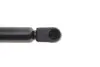 Фото Амортизатор кришки багажника Renault Megane III 09- (GS0913) Magneti Marelli (430719091300) зображення 5