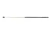 Фото Амортизатор капоту Toyota Camry (_V4_) 06-14 (седан) (GS1593) Magneti Marelli (430719159300) изображение 1