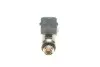 Фото Паливний інжектор DACIA DUSTER, LOGAN, LOGAN MCV, SANDERO RENAULT KANGOO BE BOP, KANGOO EXPRESS, KANGOO II, LOGAN I 1.6/1.6ALK/1.6LPG 02.06 Magneti Marelli (805010089002) зображення 3