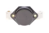 Реле генератора (14V) MB Sprinter 95-06 (OM601/OM602) Magneti Marelli (940016020800) зображення 3