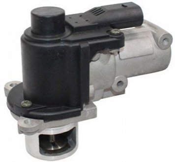 Клапан EGR MAGNETI MARELLI EV083