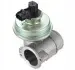 Фото Клапан возврата ОГ Magneti Marelli (EV112) изображение 1
