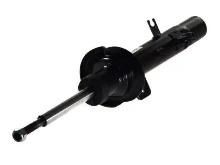Амортизатор передн Прав CITROEN C2, C2 ENTERPRISE, C3 I, C3 PLURIEL PEUGEOT 1007 1.1-1.6D 02.02 MAGNUM TECHNOLOGY AGC031MT Купити в Україні