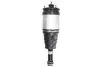 Фото Амортизатор з пневмоподушкою задн Лів/Прав LAND ROVER DISCOVERY III, DISCOVERY IV, RANGE ROVER SPORT I 2.7D-5.0 07.04-12.18 MAGNUM TECHNOLOGY (APL015MT) зображення 1