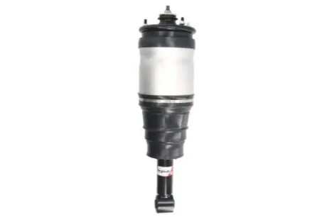 Амортизатор з пневмоподушкою задн Лів/Прав LAND ROVER DISCOVERY III, DISCOVERY IV, RANGE ROVER SPORT I 2.7D-5.0 07.04-12.18 MAGNUM TECHNOLOGY APL015MT Купити в Україні