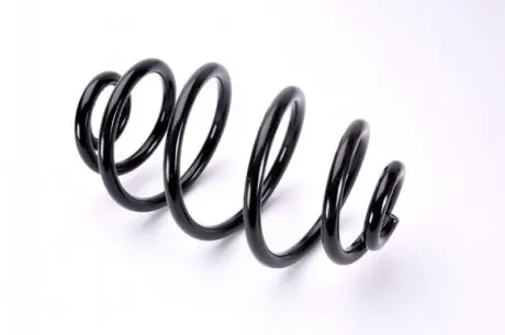 Фото Пружина амортизатора MAGNUM TECHNOLOGY (SW065MT) зображення 1