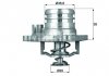Термостат системи охолодження TI1392