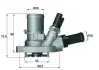 Термостат Knecht (TI 149 88) зображення 1