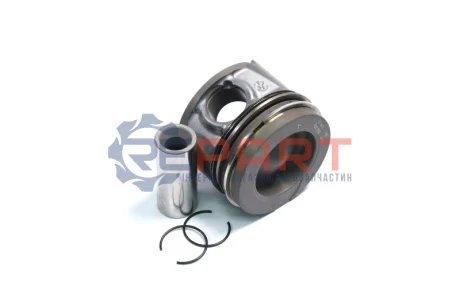 Поршень 76,5 (-2-2,5) DACIA DUSTER, LOGAN, LOGAN EXPRESS, LOGAN MCV, SANDERO NISSAN KUBISTAR, TIIDA RENAULT CLIO II, CLIO III, DUSTER, FLUENCE, GRAND SCENIC II, GRAND SCENIC III, KANGOO 1.5D 06.01 Mahle 021 PI 00124 002 Купити в Україні
