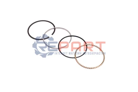 Комплект поршневих кілець Mahle 028 RS 10116 0N0 Купити в Україні