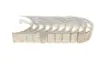 Фото Вкладиші Mahle (029 HS 18067 000) изображение 3