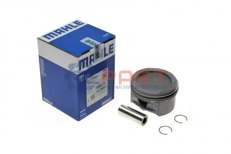 Поршень Skoda Fabia/Octavia/VW Golf IV 2.0 98-10 (83.01mm/+0.5) Mahle 030 60 13 Купить в Украине
