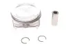 Поршень Audi A3/A4/VW Passat/Caddy 1.6i 94- (81.51mm/+0.5) 0332001