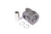 Поршень Mahle (2273700) зображення 2