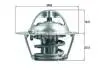 Термостат системы охлаждения (82°C) FORD COURIER, ECOSPORT, FIESTA, FIESTA IV, FIESTA V, FIESTA VI, FOCUS I, FUSION, KA+ III, PUMA, SIERRA II 1.2-2.0 12.91 Mahle (TX20482D) изображение 1