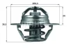 Термостат Citroen Jumper 2.0 94-02/Peugeot Partner 1.1-1.4 96-15/Renault Kangoo 1.9 TDI 00- (88 °C) Mahle (TX 88 88D) изображение 2
