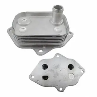 MEATDORIA DB Масляный радиатор W168,Vaneo 1.7CDI 98- MEAT&DORIA 95253 Купить в Украине