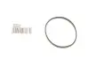 Фото OE MERCEDES MERCEDES-BENZ (9029970145) зображення 1