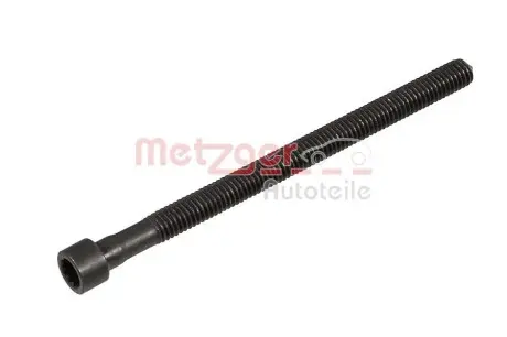 Болт кріплення форсунки VW Caddy 2.0TDI 04-15 (к-кт 8шт) METZGER 0873030