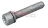 Болт с головкой системы TORX из черного металла METZGER (6250007S) изображение 1