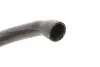 Фото Патрубок радіатора (нижній) MB C-class (W203) 2.0 00-02 Meyle (0195010024) зображення 4