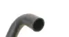 Фото Патрубок радіатора (нижній) MB E-class (W211) 1.8/2.2D 02-09 MEYLE (0195010026) зображення 3