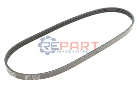 Ремінь генератора Honda Civic VI/Nissan Primera/Citroen Berlingo 1.4-1.6 16V 94-05 (4PK800) MEYLE 050 004 0800 Купити в Україні
