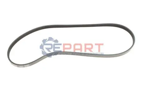 Ремінь генератора Ford Transit 2.2TDCI (4PK920) MEYLE 050 004 0920 Купити в Україні