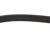 Фото Ремінь генератора Fiat Tempra 1.9TD 90-96 (5PK900) Meyle (0500050900) зображення 2