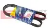 Фото Поліклиновий ремінь (5PK1145) Meyle (050 005 1145) зображення 1