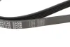 Ремень генератора поликлиновый Meyle (050 005 1145) изображение 5
