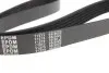 Фото Поліклиновий ремінь (6PK1055) Meyle (0500061055) зображення 3