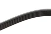 Ремень поликлиновый, Mitsubishi Galant 2.5 96-04 Meyle (0500061060) изображение 5