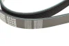 Ремень поликлиновый, Mitsubishi Galant 2.5 96-04 Meyle (0500061060) изображение 6