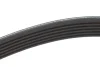 Поліклиновий ремінь (6PK1163) Meyle (0500061163) зображення 4