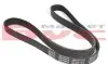 Фото Ремінь генератора Iveco Daily V 11- (6PK1215) Meyle (0500061215) зображення 2