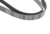 Поліклиновий ремінь (6PK1275) Meyle (0500061275) зображення 4
