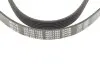 Фото Поликлиновый ремень MEYLE (0500061360) изображение 4
