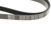 Ремень генератора поликлиновый Meyle (0500061570) изображение 6