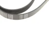 Поліклиновий ремінь (6PK1610) Meyle (0500061610) зображення 5