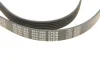 Ремень генератора поликлиновый Meyle (0500061680) изображение 5