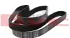 Фото Ремень генератора Citroen Berlingo 1.6HDI (+AC) (6PK1710) - Ремень генератора Citroen Berlingo 1.6HDI (+AC) (6PK1710) Meyle (0500061710) изображение 2